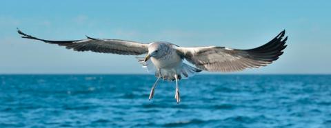 Source : Adobe Stock